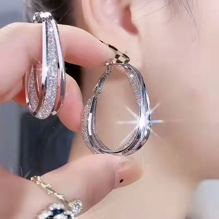 Fashion Oval Earrings Silver