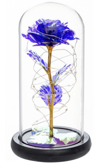 Roses In Glass Black Base-Purple